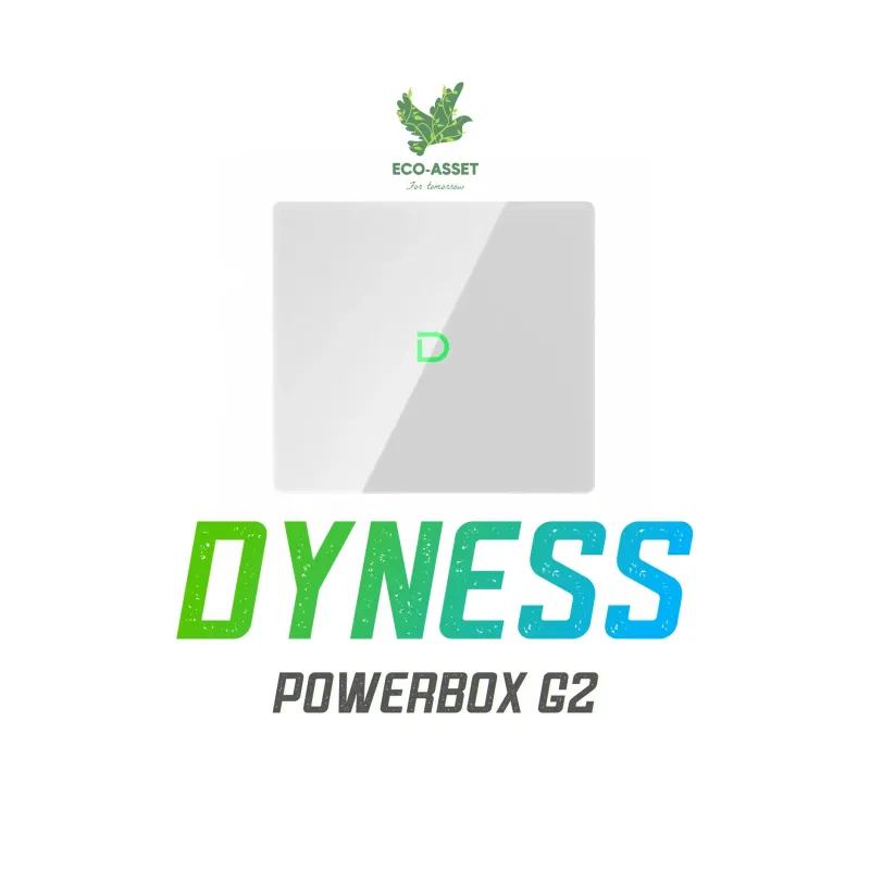 Dyness Powerbox G2 10,24kWh LV